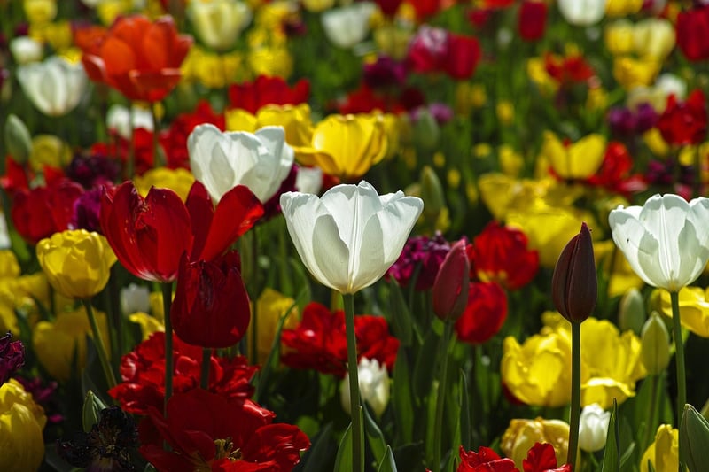 Vertical Flower Tower