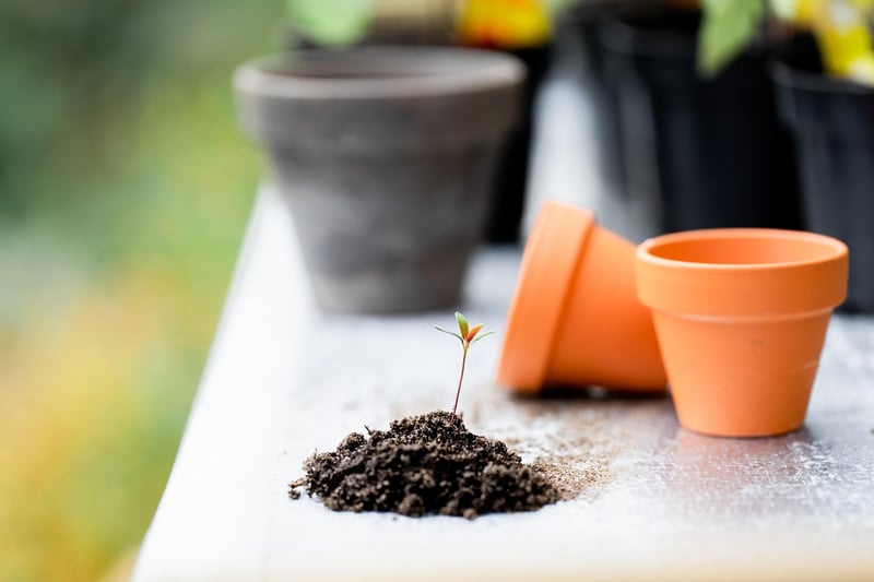 Spring Gardening